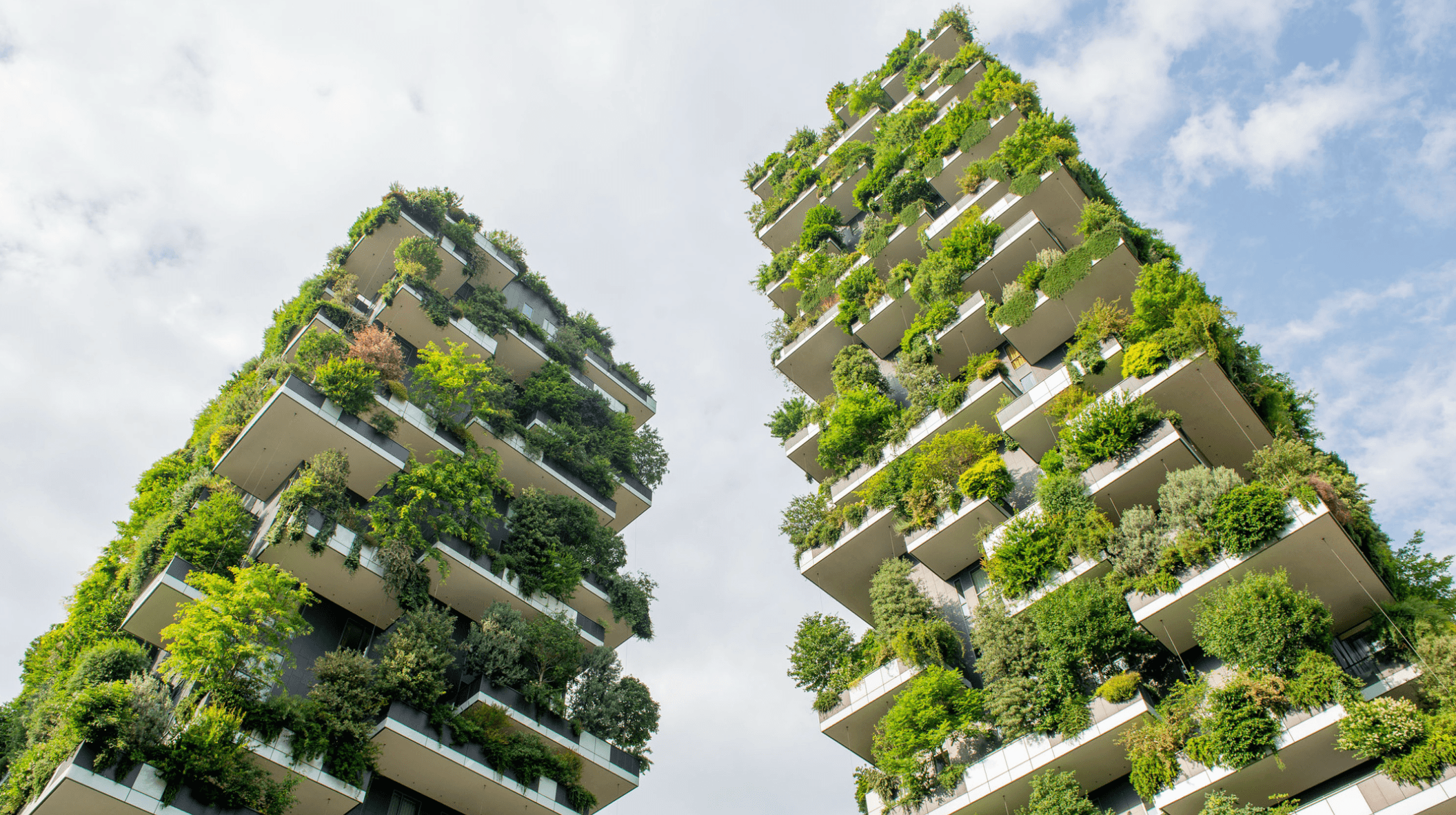 City Funds and the Net Zero Transition: Accelerating Urban Climate Finance through Local Investment Vehicles