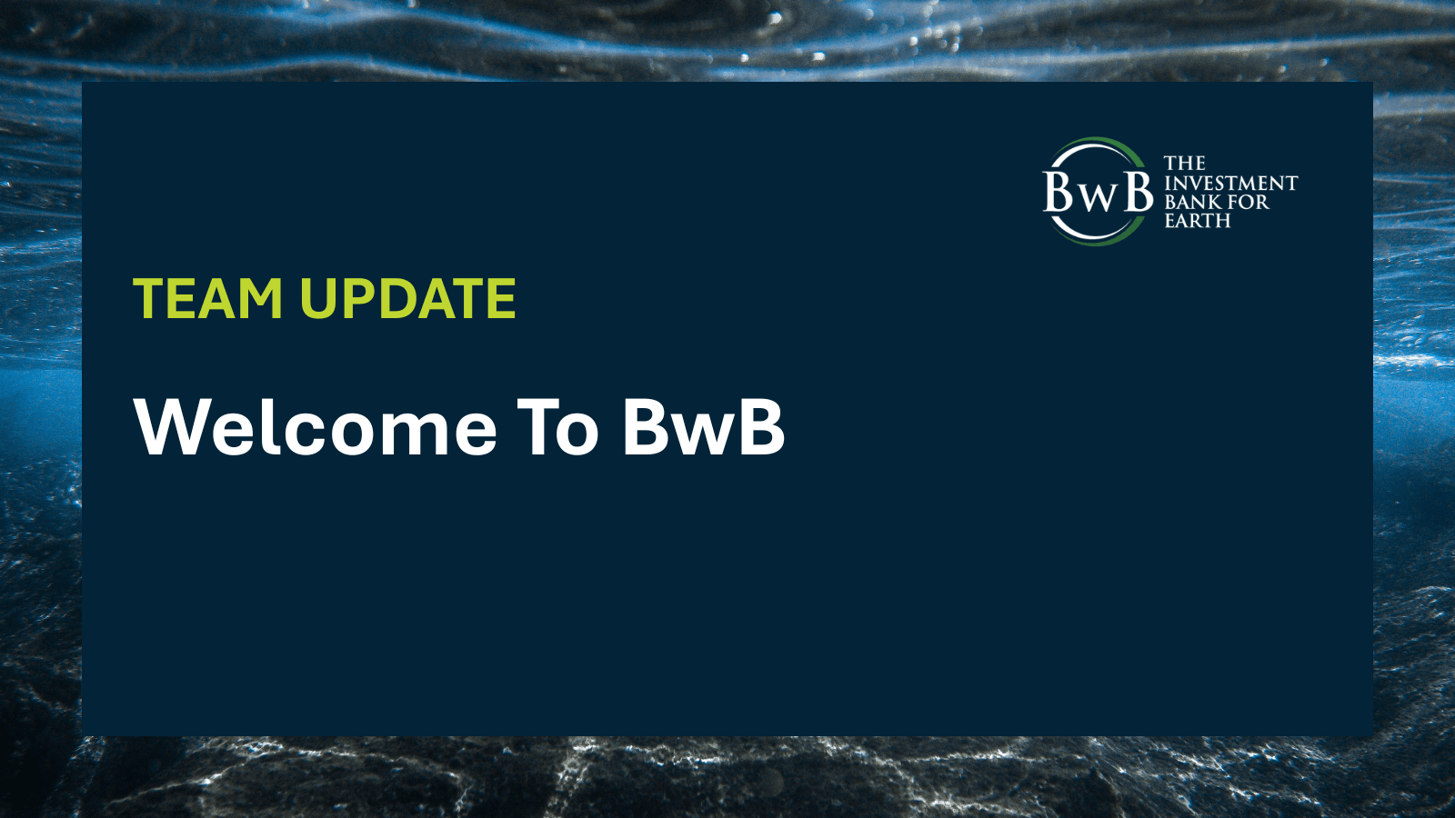 Growing BwB’s Nairobi Team