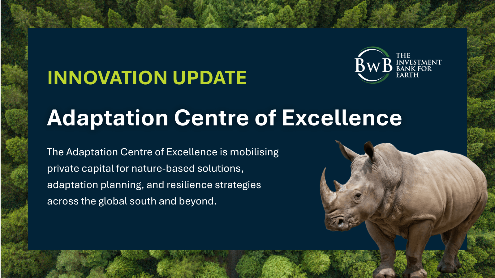 Innovation Spotlight | BwB Adaptation Centre of Excellence