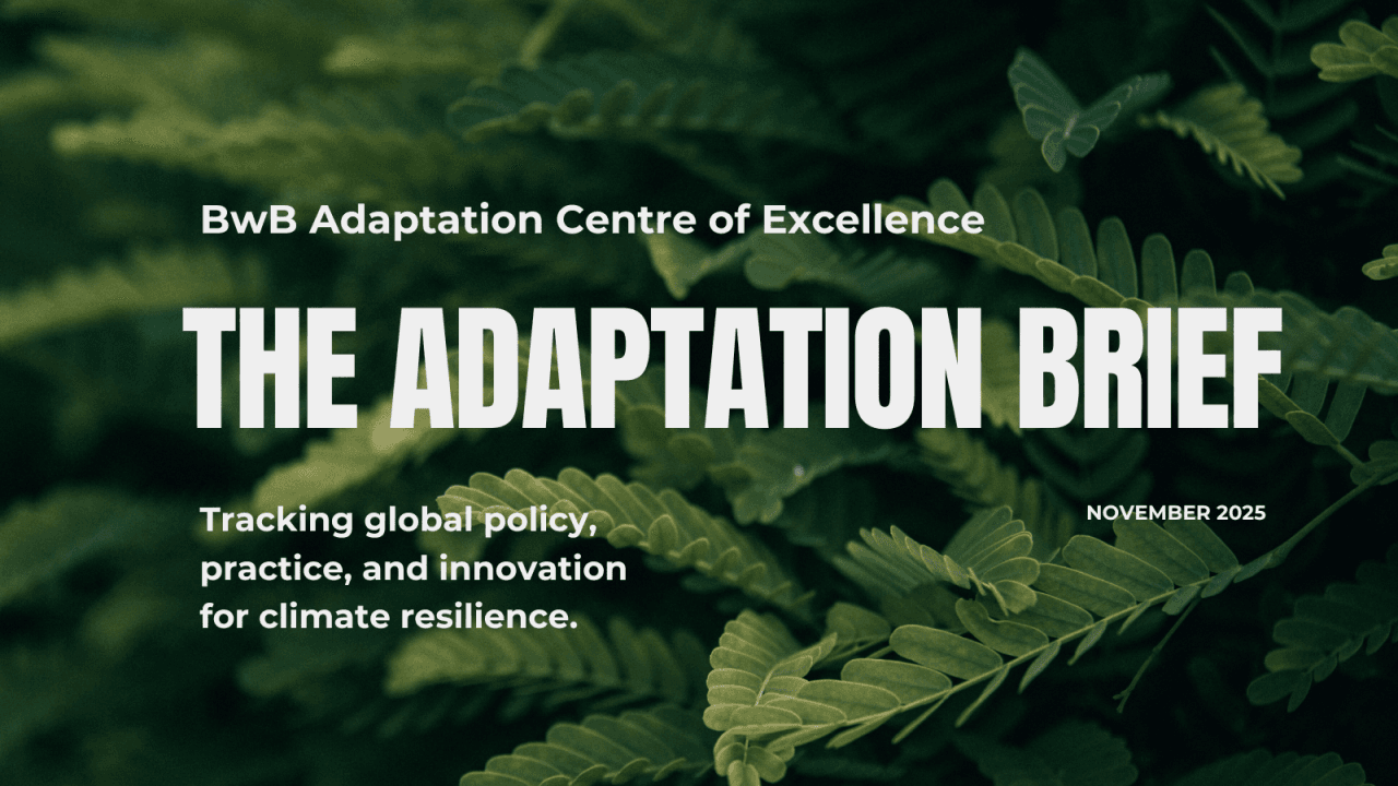 Introducing The Adaptation Brief