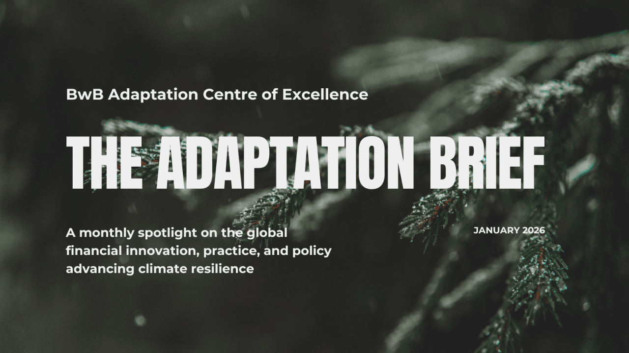 The January issue of Adaptation Brief is live!